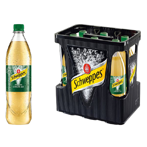 SCHWEPPES GINGER ALE 6 × 1,0L