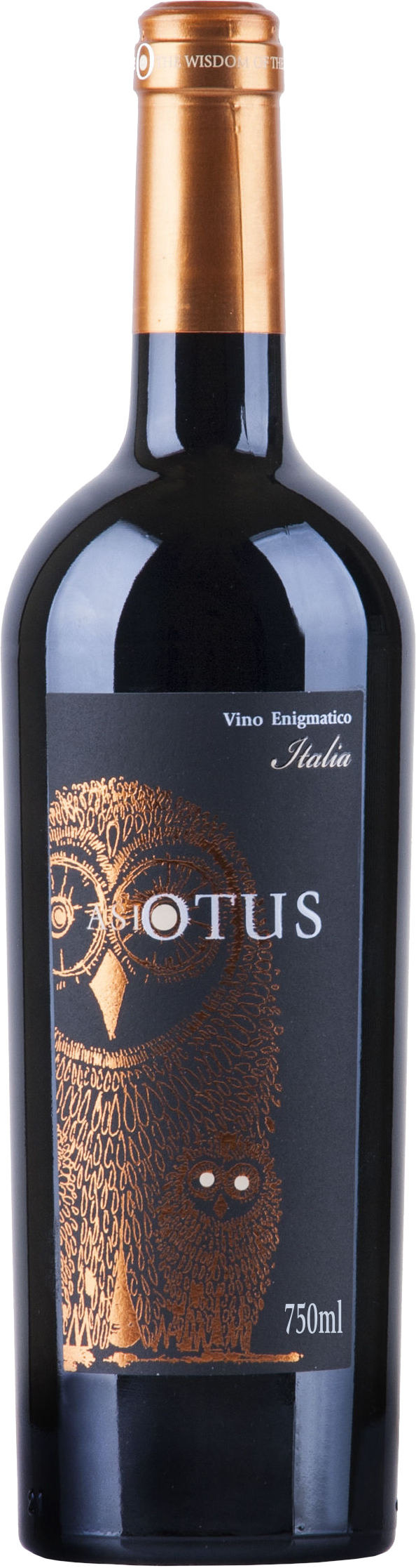 Asio Otus Rosso Vino Varietale D'Italia 13 % Vol. 0,75l